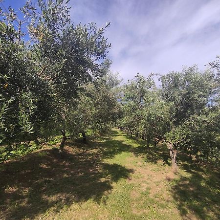 Apartman Villa Romana Groznjan Bagian luar foto