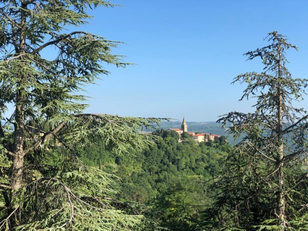 Apartman Villa Romana Groznjan Bagian luar foto