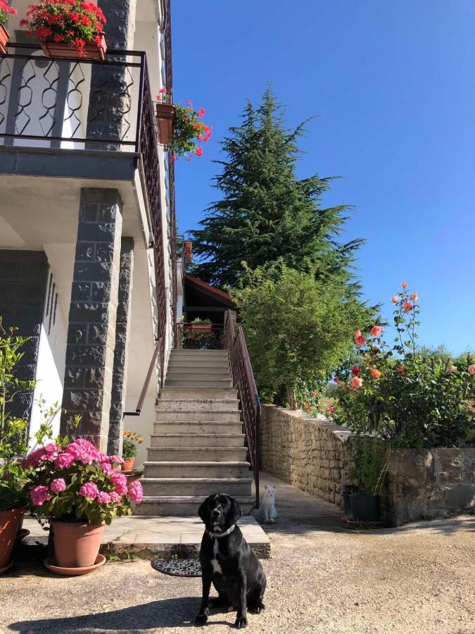 Apartman Villa Romana Groznjan Bagian luar foto