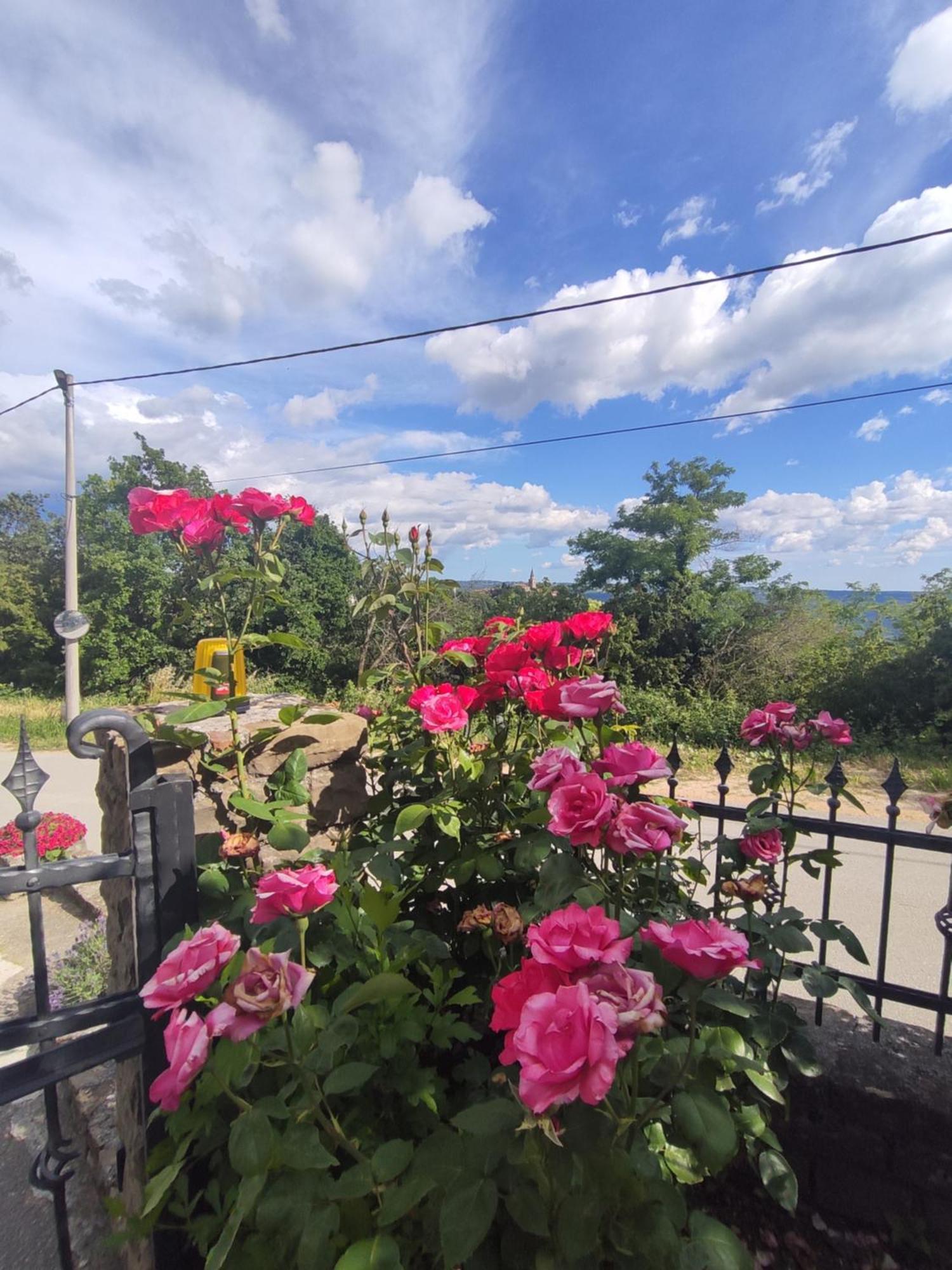 Apartman Villa Romana Groznjan Bagian luar foto