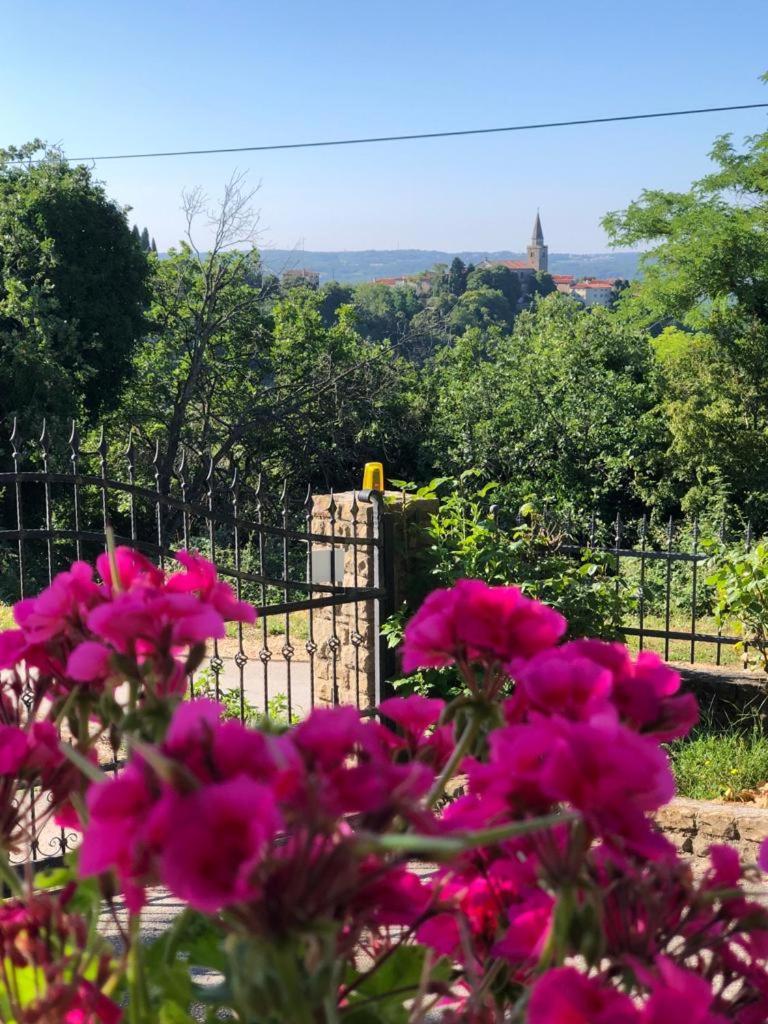 Apartman Villa Romana Groznjan Bagian luar foto
