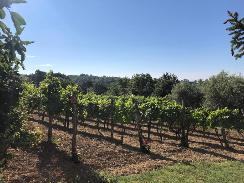 Apartman Villa Romana Groznjan Bagian luar foto
